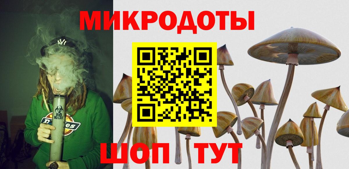 Псилоцибиновые грибы GOLDEN TEACHER Коломна