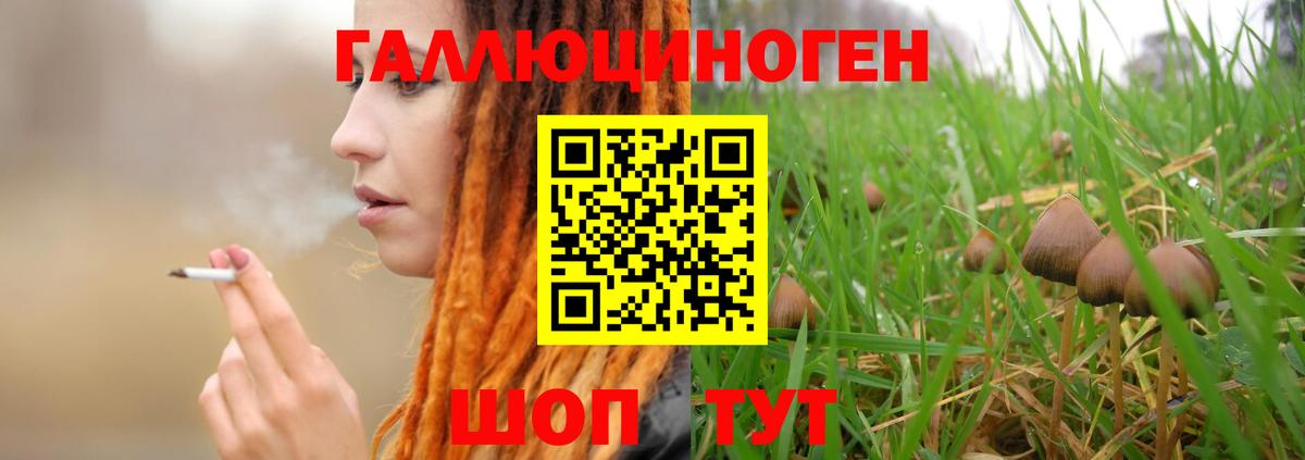 Галлюциногенные грибы Cubensis  Вход с VPN  Коломна 